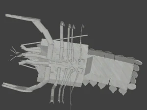 Cancer 3D Model