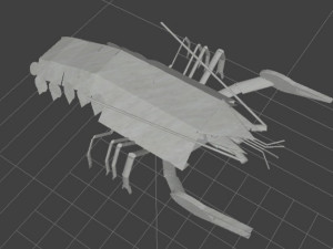 Cancer Model 3D