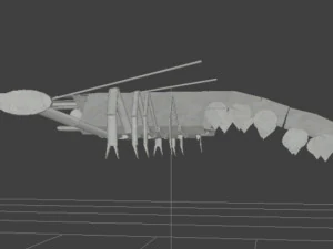 Cancer 3D Model