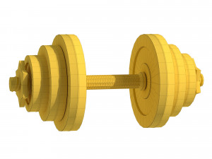40KG Adjustable Weight Set 3D Model