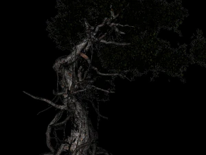 Fairy Tree 3D Model