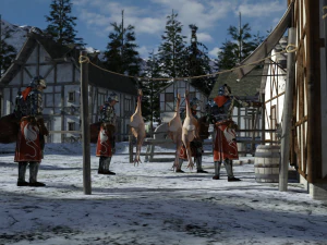 Winter Hamlet for DAZ 3D Model