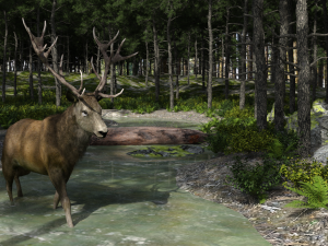 Creek Crossing Modelo 3D