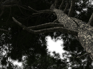 Creek Crossing Modelo 3D