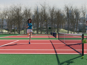 Outdoor Tennis Courts for DAZ 3Dモデル