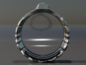 Surgical steel ring 3D 프린트 모델