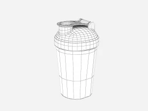Shaker Bottle 3D Model