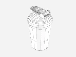 Shaker Bottle 3D Model