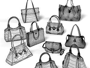 Women bag luxury set 3D Model