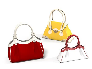 Women bag luxury set 3D Model