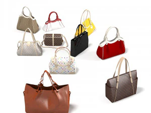 Women bag luxury set 3D Model