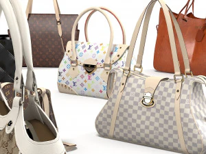 Women bag luxury set 3D Model
