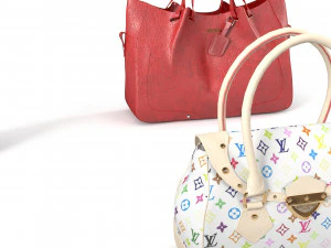 Luxury handbag set 3D Model
