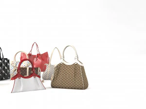Luxury handbag set 3D Model