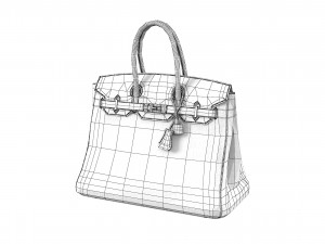 Hermes Matte Black Porosus Crocodile Birkin 35 Bag 3D मॉडल