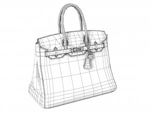 Hermes Matte Black Porosus Crocodile Birkin 35 Bag 3D मॉडल