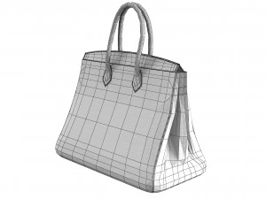 Hermes Matte Black Porosus Crocodile Birkin 35 Bag 3D मॉडल