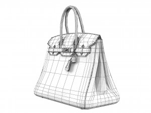Hermes Matte Black Porosus Crocodile Birkin 35 Bag 3D मॉडल