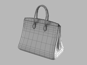 Hermes Matte Black Porosus Crocodile Birkin 35 Bag 3D मॉडल
