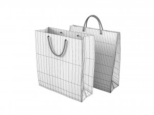 Paper Carry Retail Gift Bags 3D Модель