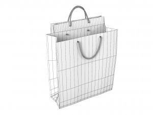 Paper Carry Retail Gift Bags 3D Модель