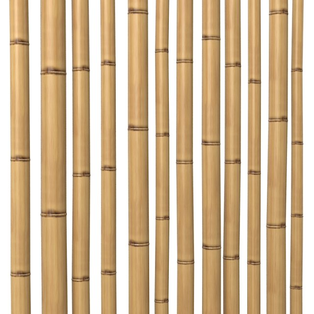 Bamboo Stem Dry oriental interior decoration 3D 모델 .c4d .max .obj .3ds .fbx .stl .blend 
