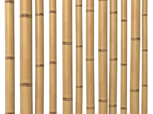 Bamboo Stem Dry oriental interior decoration 3D मॉडल