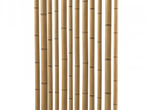 Bamboo Stem Dry oriental interior decoration 3D 모델