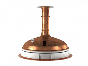 Beer Brewing Kettle Modello 3D