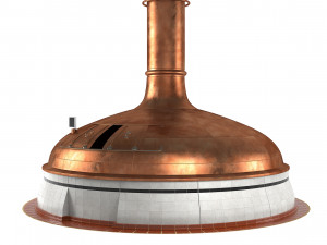 Beer Brewing Kettle Modello 3D