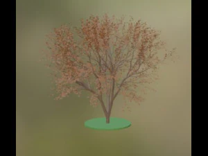 Tree 3D Model