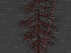 Tree Model 3D