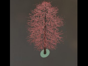 Tree Model 3D