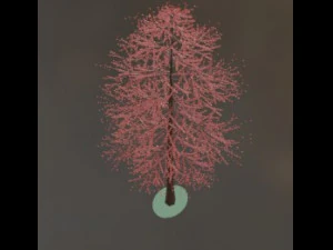 Tree 3D Model