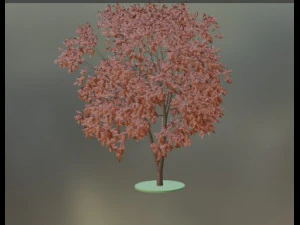 Tree 3D Model