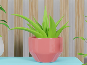 Potted Plant Set - Interior Succulent Design - Modelo 3D
