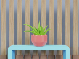 Potted Plant Set - Interior Succulent Design - 3D Model