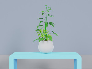 Potted Plant Set - Interior Succulent Design - Modelo 3D