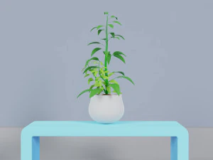 Potted Plant Set - Interior Succulent Design - 3D Model