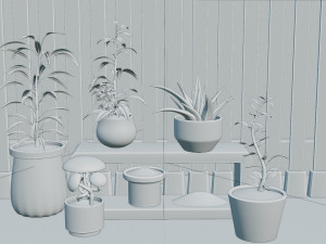Potted Plant Set - Interior Succulent Design - Modelo 3D
