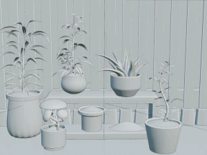 Potted Plant Set - Interior Succulent Design - 3D Model