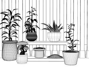 Potted Plant Set - Interior Succulent Design - 3D Model