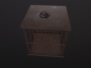 Cage 3Dモデル