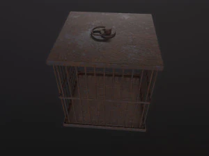 Cage 3D Model