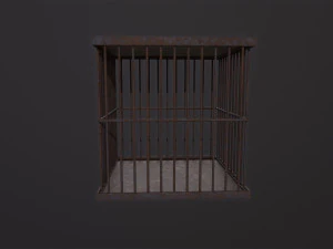 Cage 3D Model