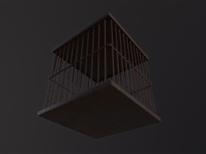 Cage 3Dモデル