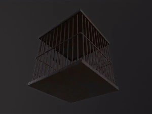 Cage 3D Model