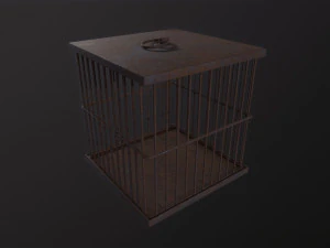 Cage 3D Model
