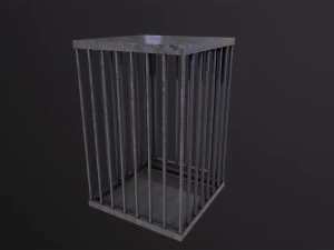 Cage 3D Model