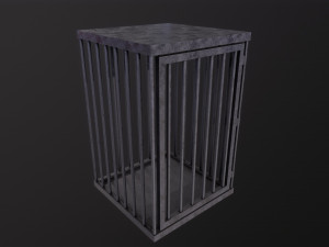 Cage 3D Modell